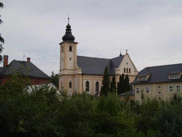 P4265905